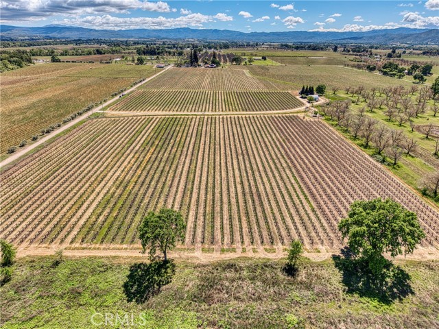 2195 stone Drive, Lakeport