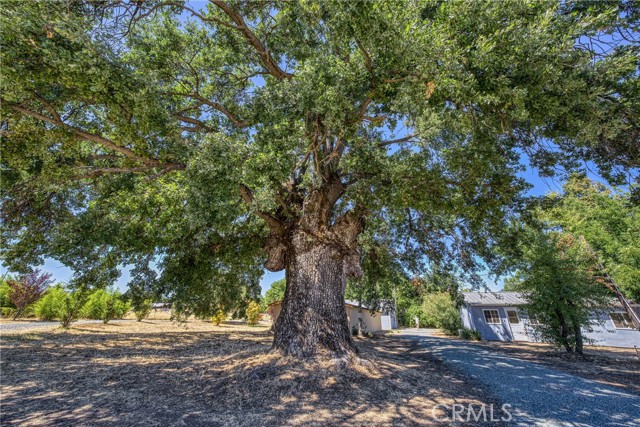 1980 Big Valley Road, Lakeport