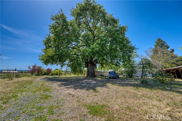 1980 Big Valley Road, Lakeport