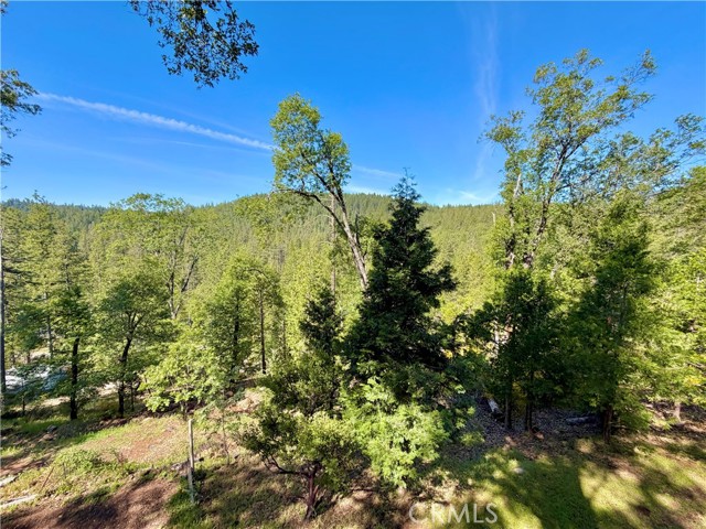 12137 Black Oak Drive, Loch Lomond