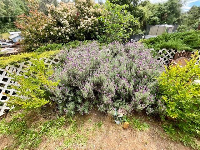 7282 Marin Street, Nice