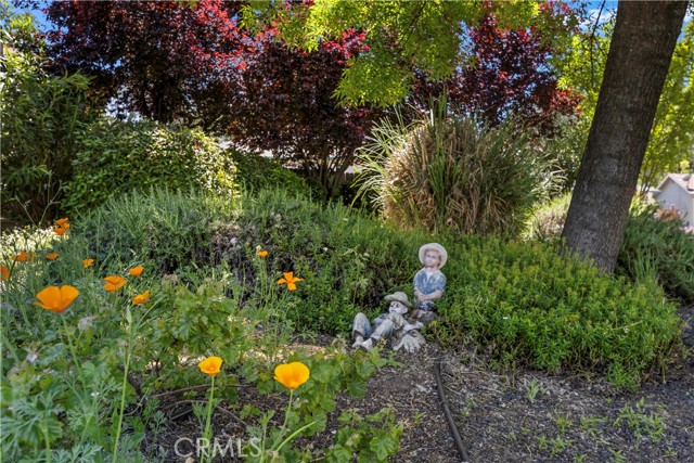 1035 Penelope Court, Lakeport