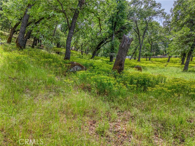 5290 Lake Boulevard, Lower Lake