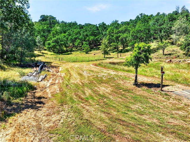 13505 Spruce Grove, Lower Lake