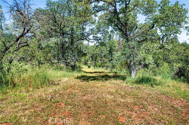 13505 Spruce Grove, Lower Lake