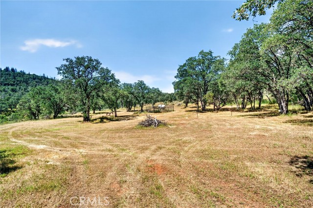 13505 Spruce Grove, Lower Lake