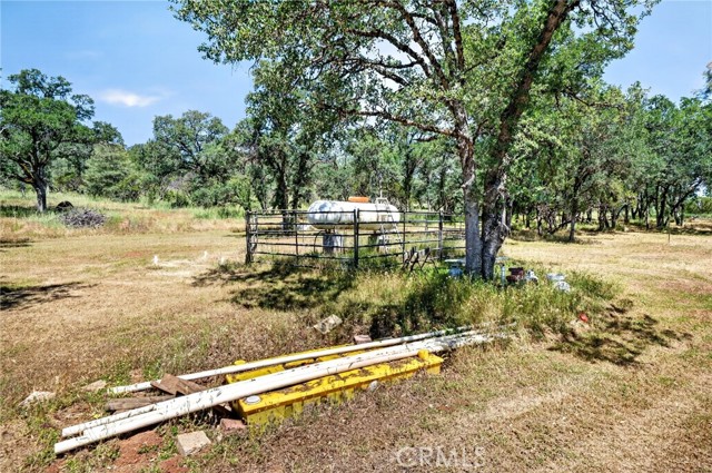 13505 Spruce Grove, Lower Lake