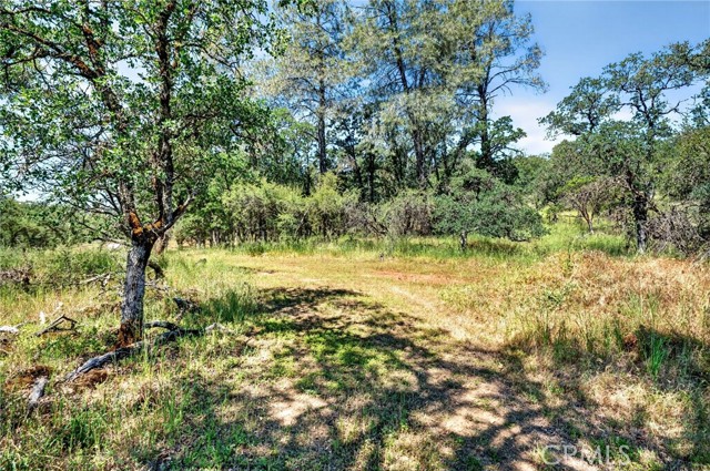 13505 Spruce Grove, Lower Lake