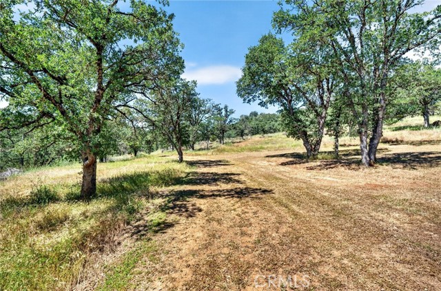 13505 Spruce Grove, Lower Lake