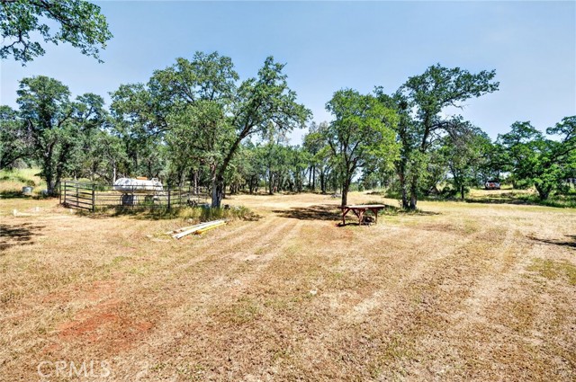 13505 Spruce Grove, Lower Lake