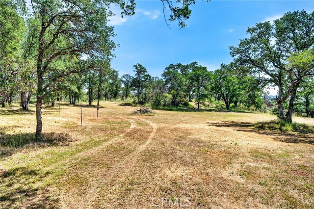 13505 Spruce Grove, Lower Lake