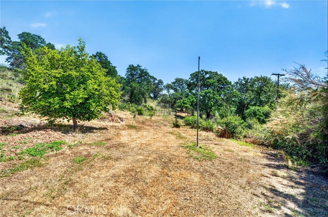 13505 Spruce Grove, Lower Lake