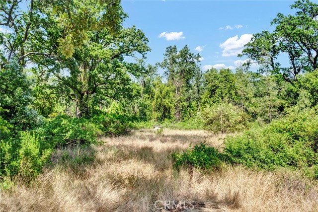 22550 Shady Grove Road, Middletown