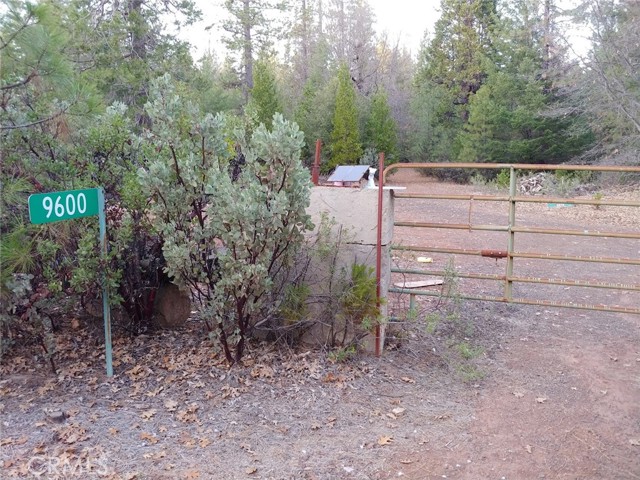 11254 Airstrip Road, Loch Lomond