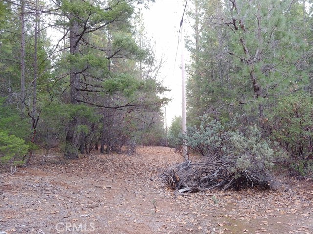 11254 Airstrip Road, Loch Lomond