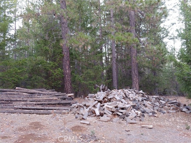 11254 Airstrip Road, Loch Lomond