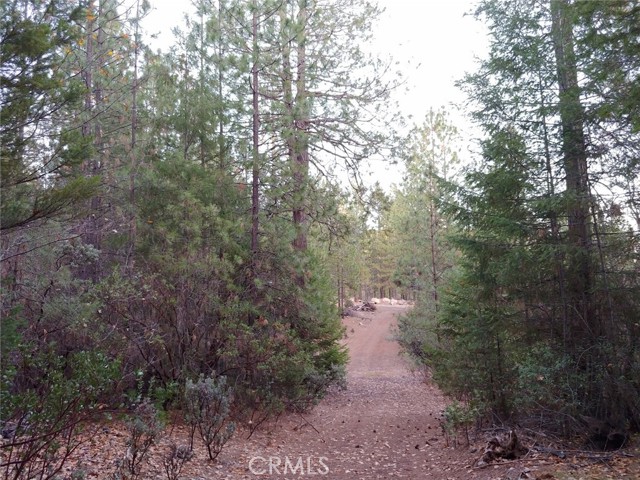 11254 Airstrip Road, Loch Lomond