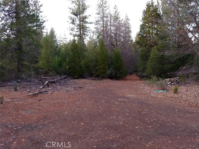 11254 Airstrip Road, Loch Lomond