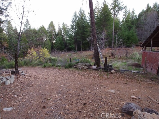 11254 Airstrip Road, Loch Lomond