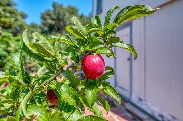 9175 Glenhaven, Glenhaven