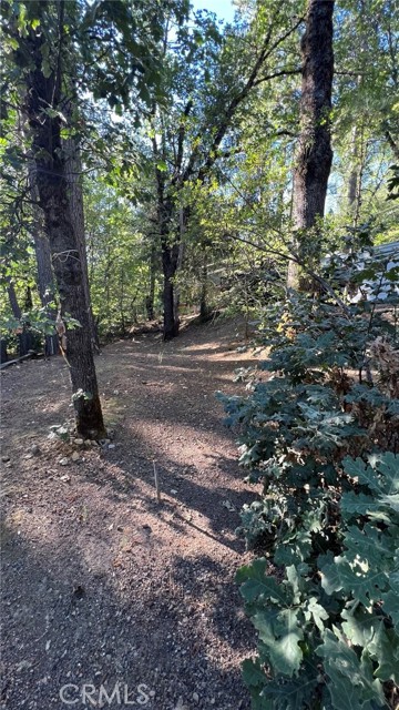 10537 Foothill Road, Loch Lomond