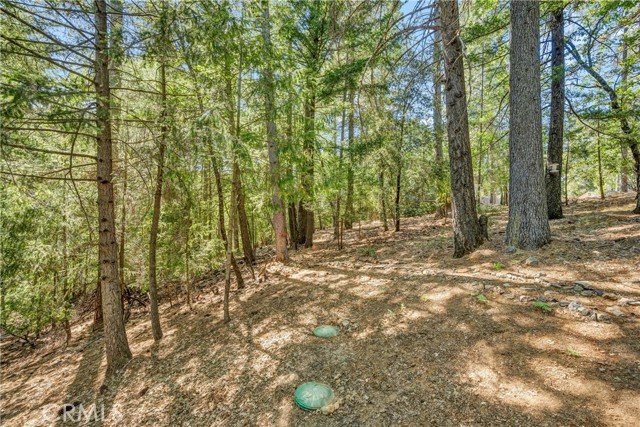 16635 Mountain View Drive, Cobb