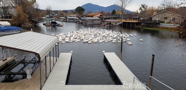 13089 Venus Vlg, Clearlake Oaks