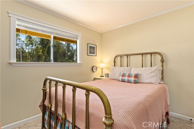 6733 Live Oak Drive, Kelseyville