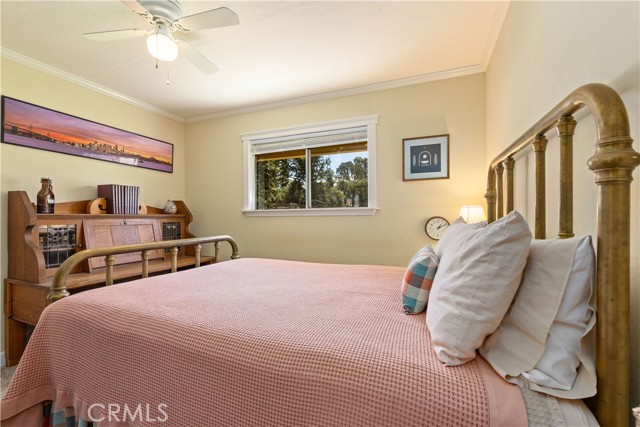 6733 Live Oak Drive, Kelseyville
