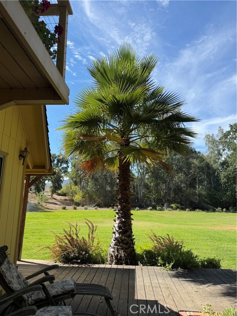 6733 Live Oak Drive, Kelseyville