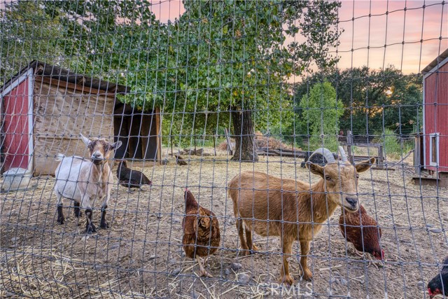 6733 Live Oak Drive, Kelseyville