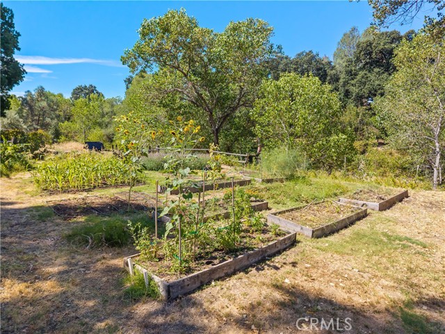 6733 Live Oak Drive, Kelseyville