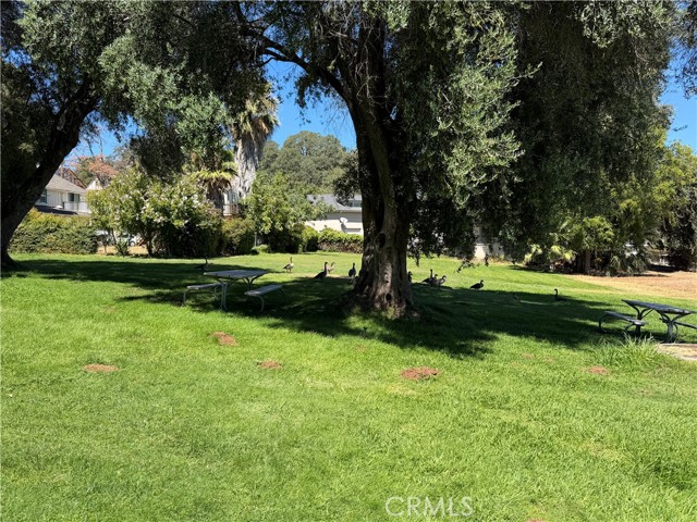 8100 Soda Bay Road, Kelseyville