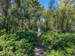 5905 E HIGHWAY 20 LUCERNE, CA 95458