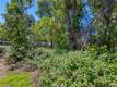 5905 E HIGHWAY 20 LUCERNE, CA 95458
