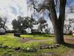 3297 E STATE HWY 20 NICE, CA 95464
