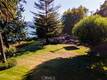 8336 PARADISE VALLEY BOULEVARD LUCERNE, CA 95458