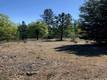 6736 HARRINGTON FLAT ROAD LOCH LOMOND, CA 95461