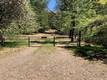 6736 HARRINGTON FLAT ROAD LOCH LOMOND, CA 95461