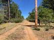 6736 HARRINGTON FLAT ROAD LOCH LOMOND, CA 95461