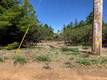 6736 HARRINGTON FLAT ROAD LOCH LOMOND, CA 95461
