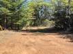 6736 HARRINGTON FLAT ROAD LOCH LOMOND, CA 95461