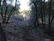 6157 ARMIJO AVENUE CLEARLAKE, CA 95422