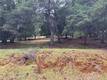 3153 SOUTHLAKE DRIVE KELSEYVILLE, CA 95451