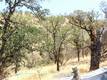 997 WATERTROUGH RD CLEARLAKE OAKS, CA 95423