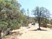 997 WATERTROUGH RD CLEARLAKE OAKS, CA 95423