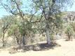 997 WATERTROUGH RD CLEARLAKE OAKS, CA 95423