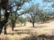 997 WATERTROUGH RD CLEARLAKE OAKS, CA 95423