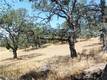 997 WATERTROUGH RD CLEARLAKE OAKS, CA 95423