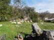 15095 HILLCREST AVENUE CLEARLAKE, CA 95422